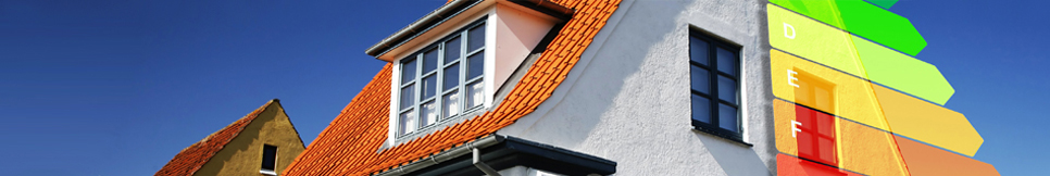 Banner - Stefan Schiewe